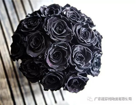 【保加利亚棕】永恒的经典~