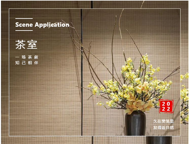 场景应用 | 这几款茶室搭配，当属热门首选