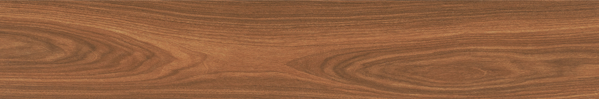 ZC9153019R