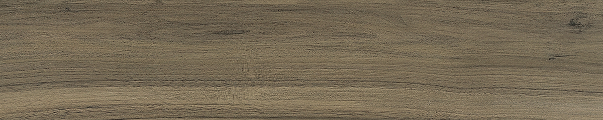 ZC1023006