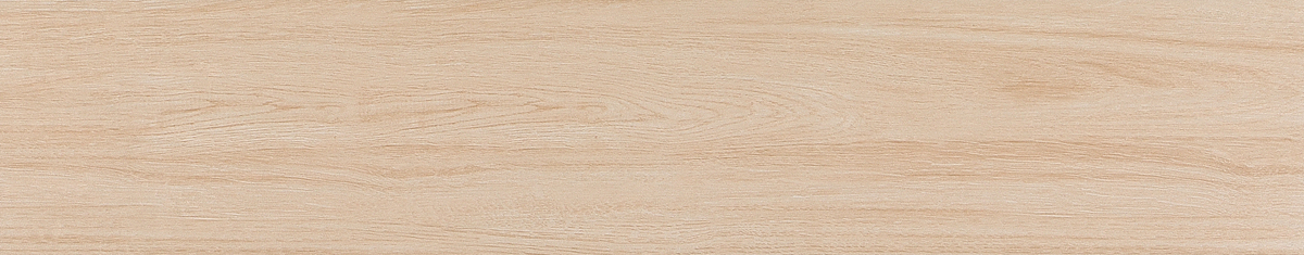 ZC-CR1002