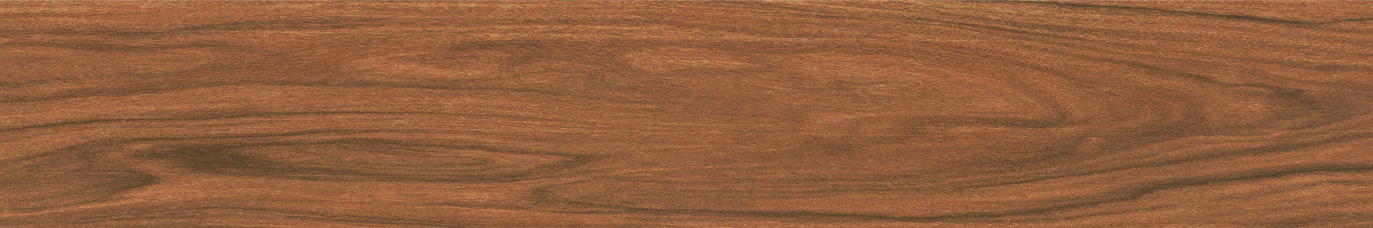 ZC9153019R