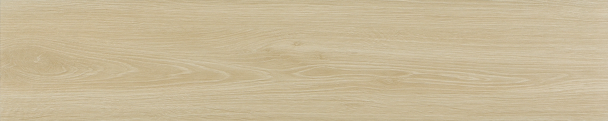 ZC-CR1001