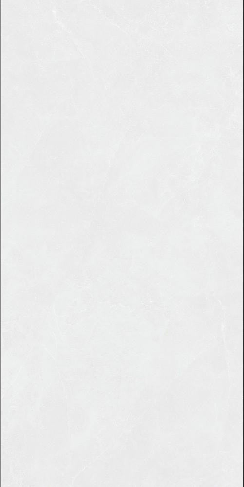 NFT017A