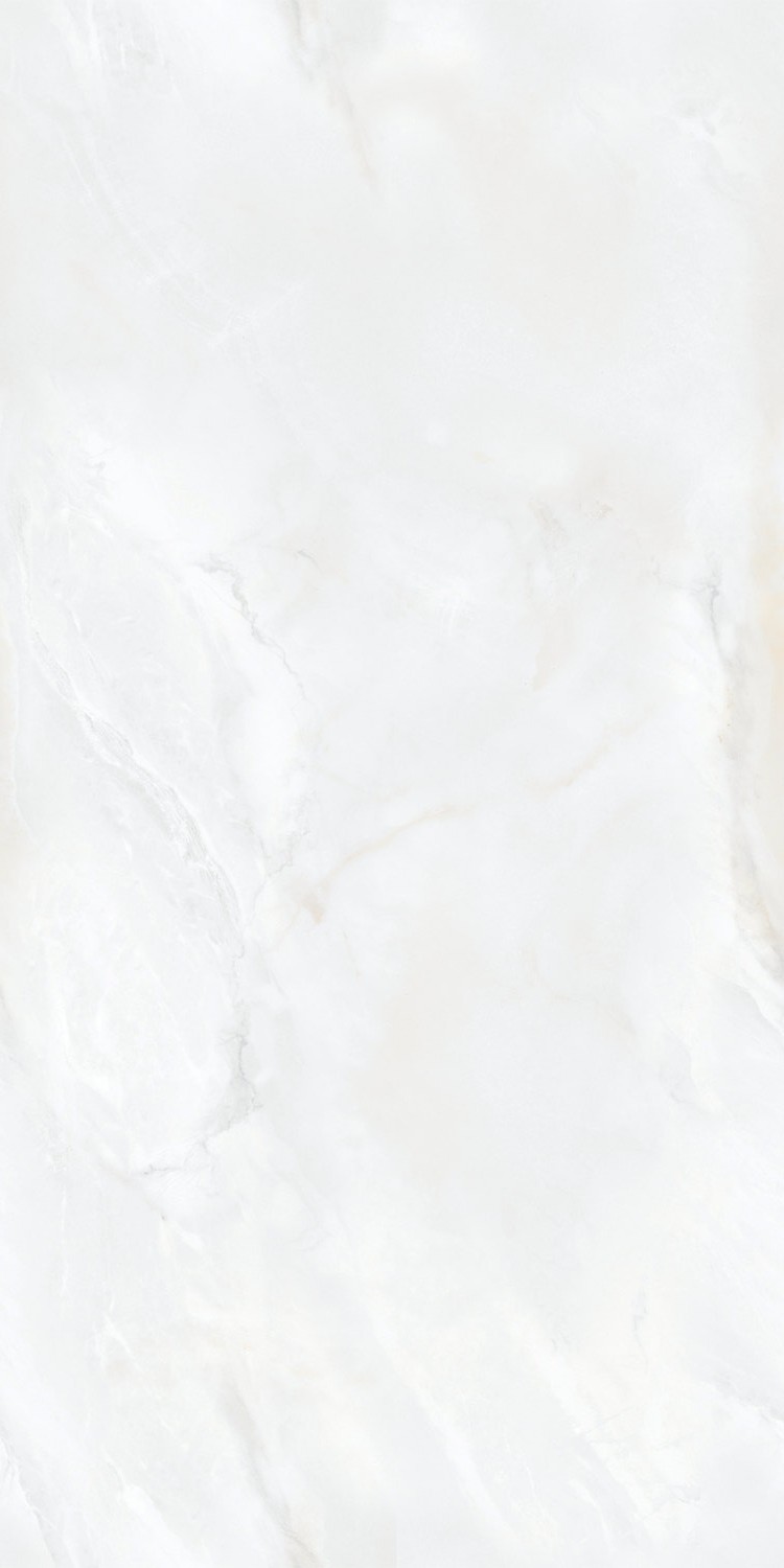 NFT8428